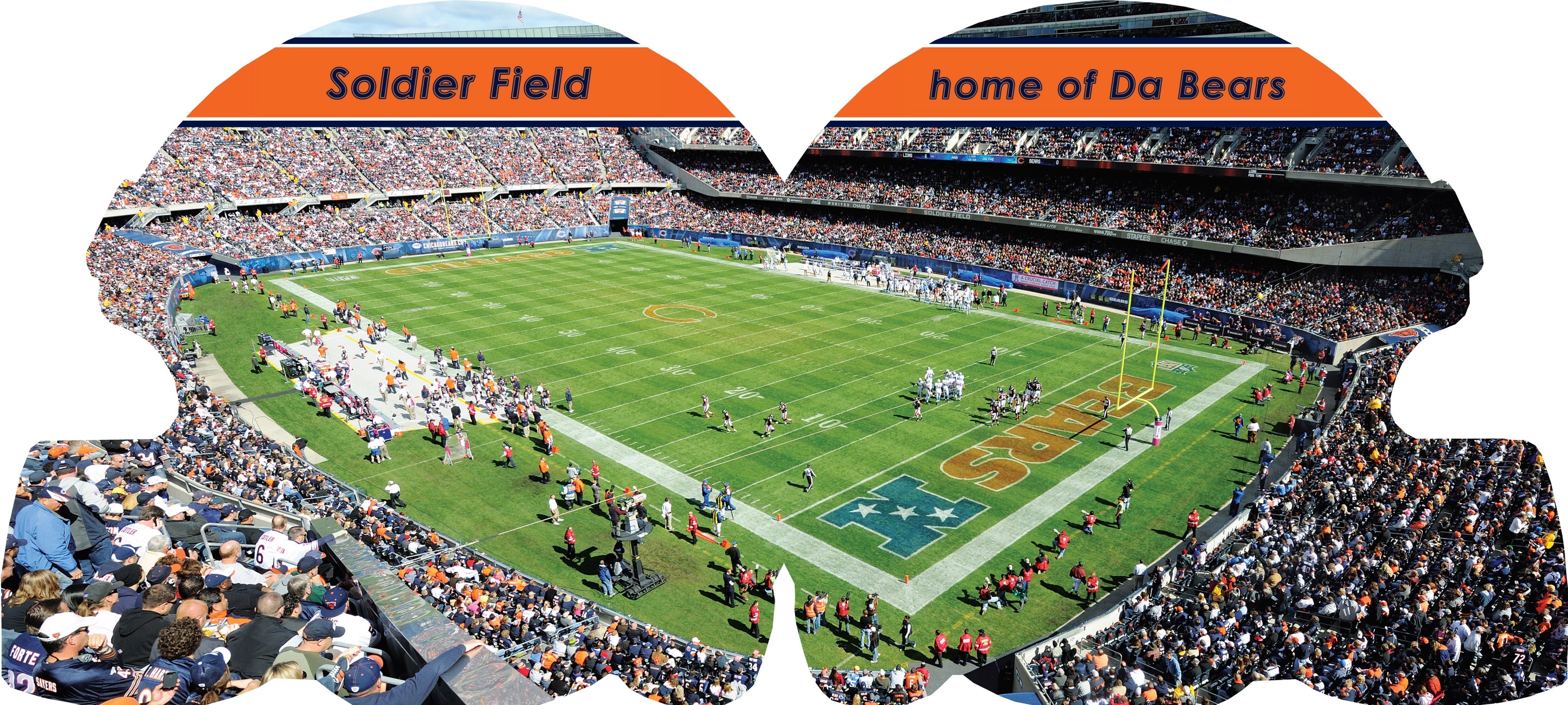 chicago bears 101 book