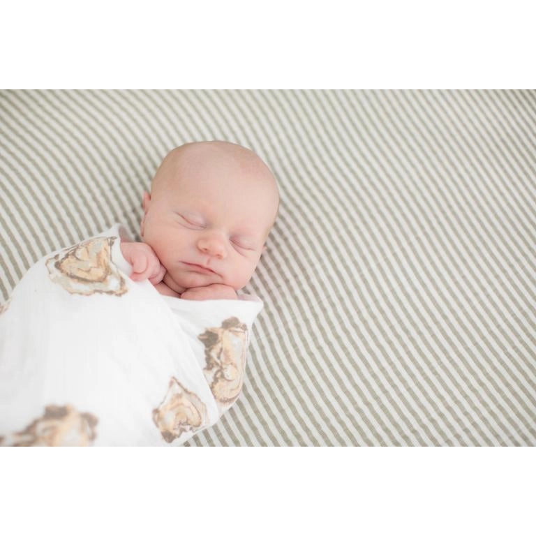 baby wrapped in oyster swaddle
