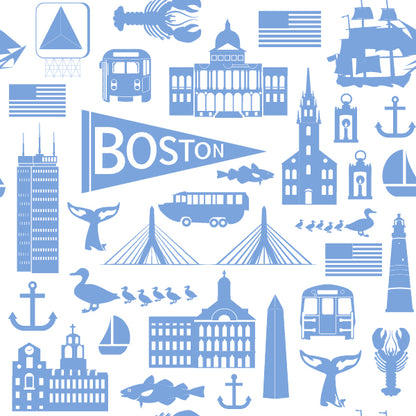 blue boston baby hat