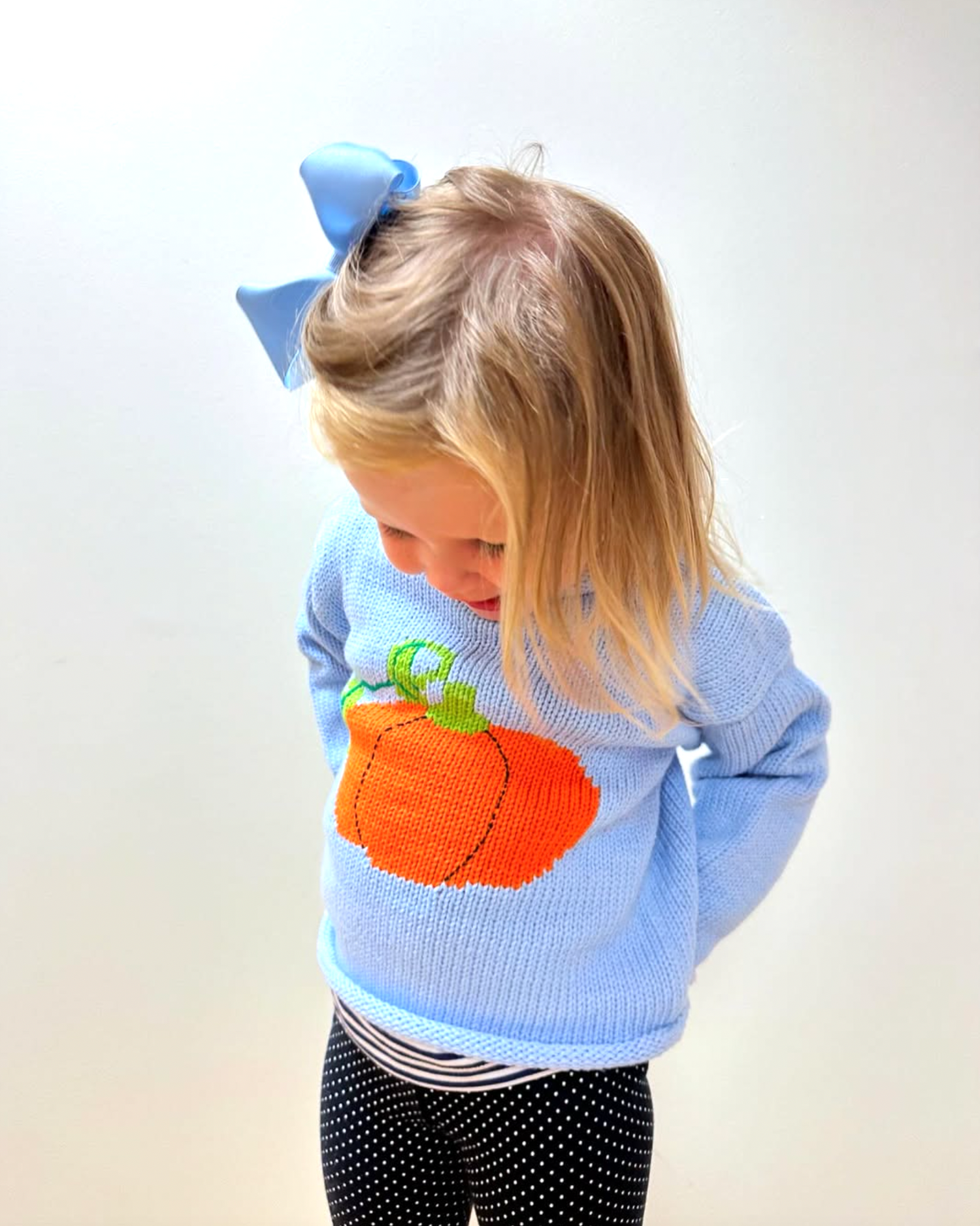 Blue Pumpkin Roll Neck Sweater