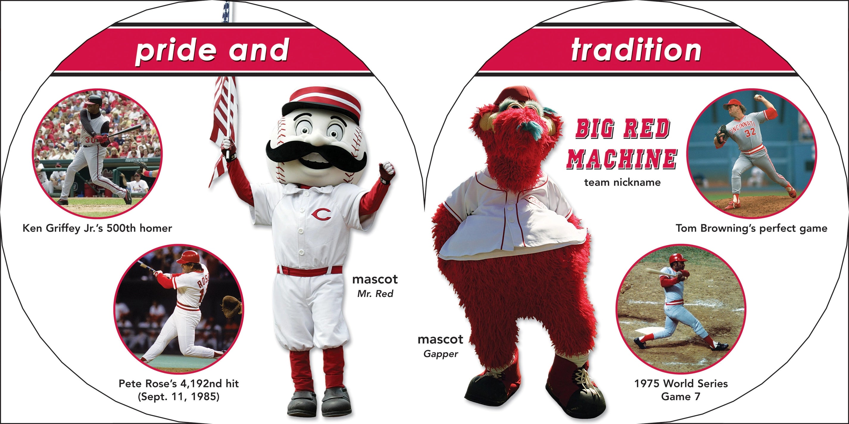 Cincinnati Reds 101 Book