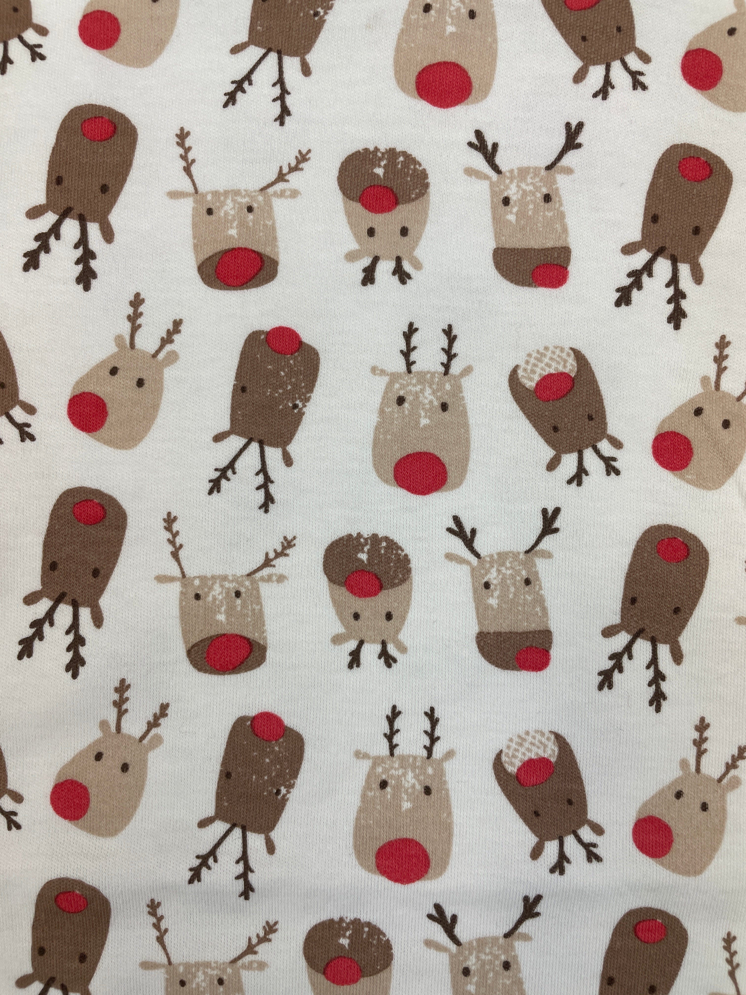 close up of rudolph print