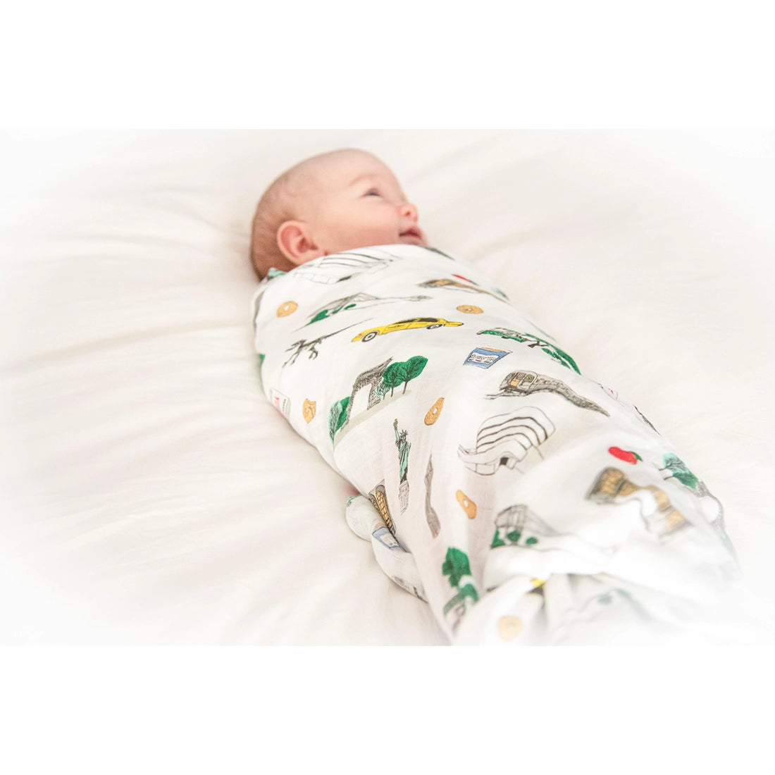 baby in swaddle